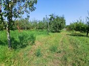 Satılır  torpaq 55 sot, photo 5 from 8