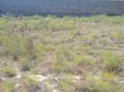 Продается  участок 9 сот, пос. Бадамдар, photo 2 from 2