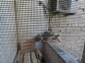 Satılır 3 otaqlı köhnə tikili 65 m², Elmlər Akademiyası m., photo 4 from 8