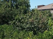 Продаётся  участок 4 сот, пос. Мардакан, photo 6 from 7