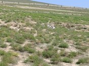 Satılır  torpaq 40 sot, Mehdiabad q., photo 2 from 5