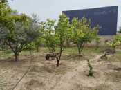 Продается  участок 6 сот, пос. Шувеляны, photo 2 from 3