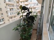 Продается 3-комн. новостройка 106 м², м. Иншаатчылар, photo 8 from 8