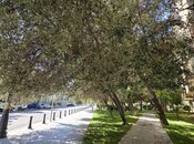 Satılır 3 otaqlı köhnə tikili 90 m², Nərimanov r., photo 8 from 8