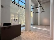 Сдаётся  объект 280 м², м. Низами, photo 3 from 8