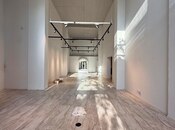 Сдаётся  объект 280 м², м. Низами, photo 5 from 8