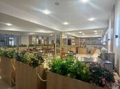 Продается  объект 2 700 м², м. Шах Исмаил Хатаи, photo 2 from 8
