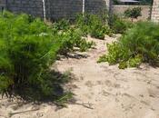 Продаётся  участок 5 сот, пос. Новханы, photo 3 from 8