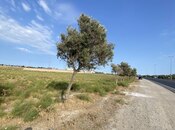 Продаётся  участок 33 сот, пос. Гала, photo 2 from 3