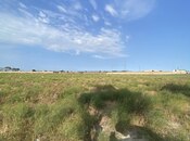 Продаётся  участок 33 сот, пос. Гала, photo 3 from 3
