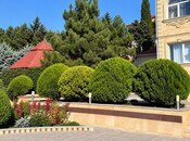 Satılır  torpaq 22 sot, Badamdar q., photo 4 from 8