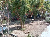 Продается  участок 3 сот, пос. Шаган, photo 2 from 3
