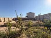 Продается  участок 3 сот, пос. Шувеляны, photo 5 from 6