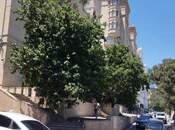 Продается 2-комн. вторичка 50 м², пос. Баилова, photo 2 from 8