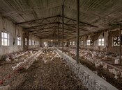 Продаётся  объект 1 000 м², пос. Мехтиабад, photo 1 from 4