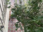 Продается 3-комн. дом/дача 120 м², photo 8 from 8
