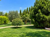 Продаётся  участок 182 сот, пос. Шувеляны, photo 6 from 8
