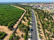 Продаётся  участок 182 сот, пос. Шувеляны, photo 8 from 8