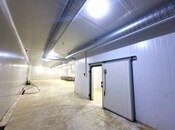 Продается  объект 1 200 м², пос. Говсан, photo 4 from 8
