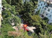 Сдаётся 3-комн. вторичка 55 м², м. Мемар Аджеми, photo 1 from 8