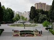 İcarəyə verilir  obyekt 110 m², 28 May m., photo 1 from 8
