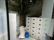 Сдаётся 3-комн. офис 110 м², м. Шах Исмаил Хатаи, photo 6 from 8