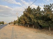 Satılır  torpaq 12 sot, Saray q., photo 2 from 8