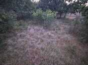Продается  участок 12 сот, photo 2 from 5