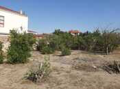 Satılır  torpaq 12 sot, Saray q., photo 3 from 4