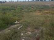 Продается  участок 23 сот, пос. Мамедли, photo 3 from 4