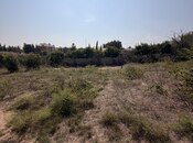 Продается  участок 12 сот, пос. Sea Breeze, photo 5 from 8