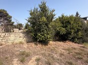 Продается  участок 12 сот, пос. Sea Breeze, photo 6 from 8