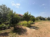 Satılır  torpaq 30 sot, Türkan q., photo 1 from 4