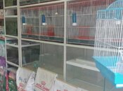 Satılır  obyekt 25 m², Elmlər Akademiyası m., photo 5 from 8