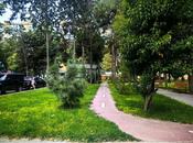 Продается 2-комн. вторичка 50 м², м. Гянджлик, photo 8 from 8