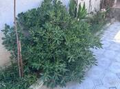 Satılır 7 otaqlı həyət evi/bağ evi 280 m², Biləcəri q., photo 4 from 8