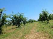 Satılır  torpaq 13 sot, photo 1 from 6