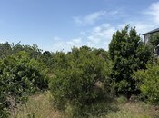 Satılır  torpaq 25 sot, Görədil q., photo 6 from 6