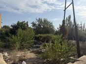 Satılır  torpaq 10 sot, Sahil q., photo 2 from 8