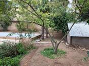 Satılır 5 otaqlı həyət evi/bağ evi 240 m², Mərdəkan q., photo 2 from 8