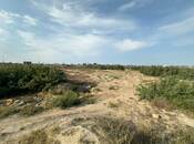 Сдается  участок 6 сот, пос. Кюрдаханы, photo 4 from 5