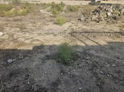 Продаётся  участок 4 сот, пос. Шувеляны, photo 2 from 7