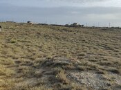 Продаётся  участок 700 сот, пос. Гала, photo 3 from 8