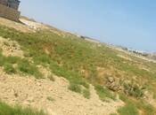 Satılır  torpaq 6 sot, Saray q., photo 4 from 4