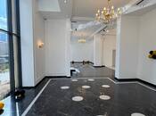 Сдается  объект 250 м², м. Шах Исмаил Хатаи, photo 5 from 8