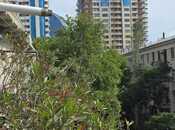 Сдается 2-комн. новостройка 50 м², Насиминский  р., photo 1 from 8