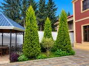 Сдаётся 5-комн. дом/дача 330 м², пос. Новханы, photo 6 from 8