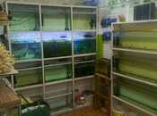 Продаётся 2-комн. вторичка 63 м², м. Иншаатчылар, photo 4 from 7