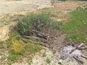 Satılır  torpaq 20 sot, Mərdəkan q., photo 3 from 4