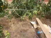 Продается  участок 5 сот, пос. Фатмаи, photo 5 from 5